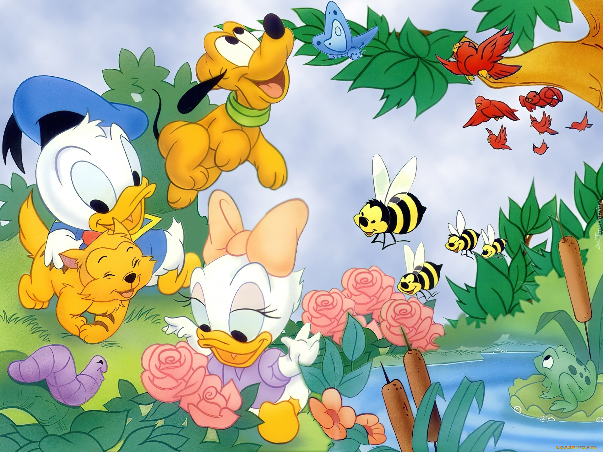 , disney